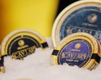 High Quality Cavar from Cultivated Fish