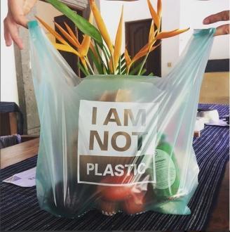 100% biodegradable bags