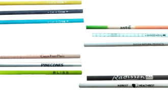 Seed Pencil
